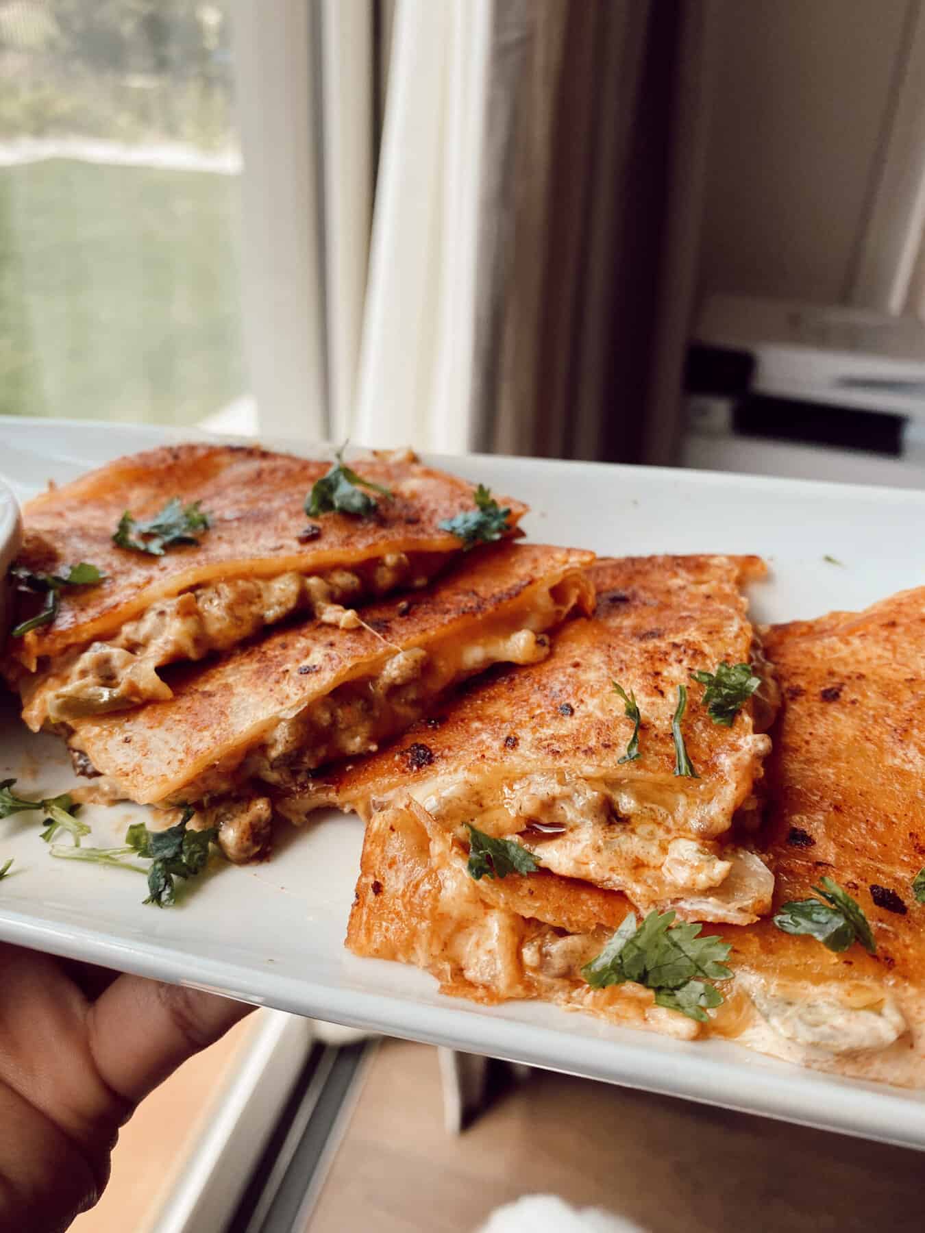 Spicy Quesadilla Shreya's Kitchen