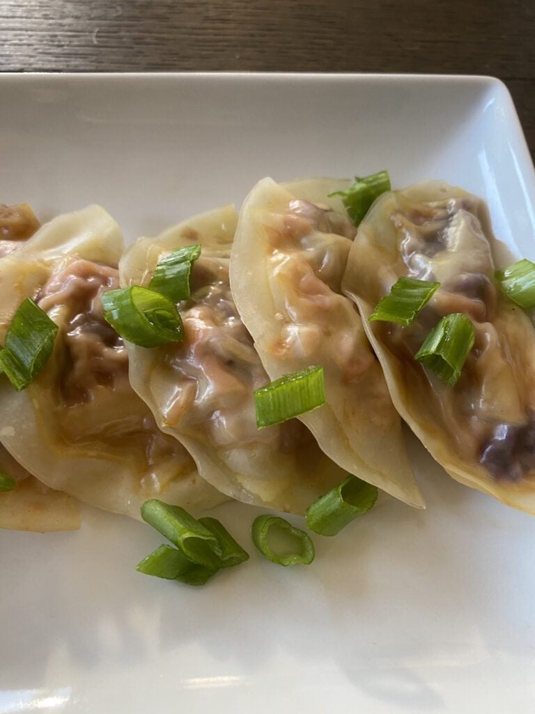vegan dumplings 2
