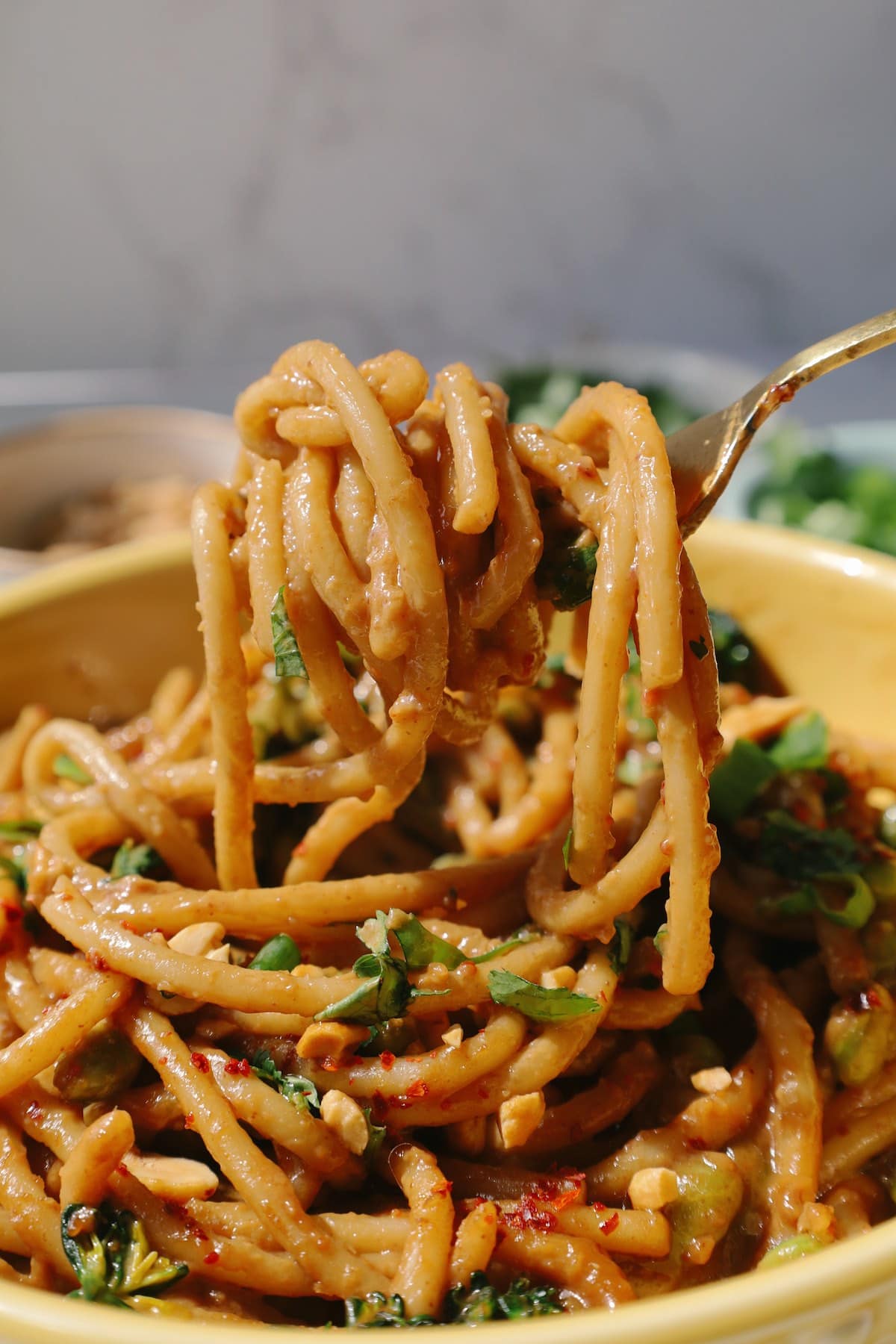 Noodles twirled on a fork.