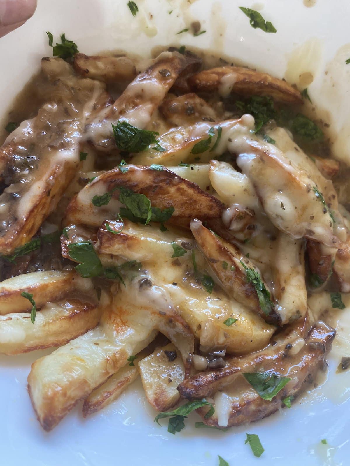 Plate of browned potato fries smothered with mushroom gravy and melted vegan cheese and garnished with chopped parsley.
