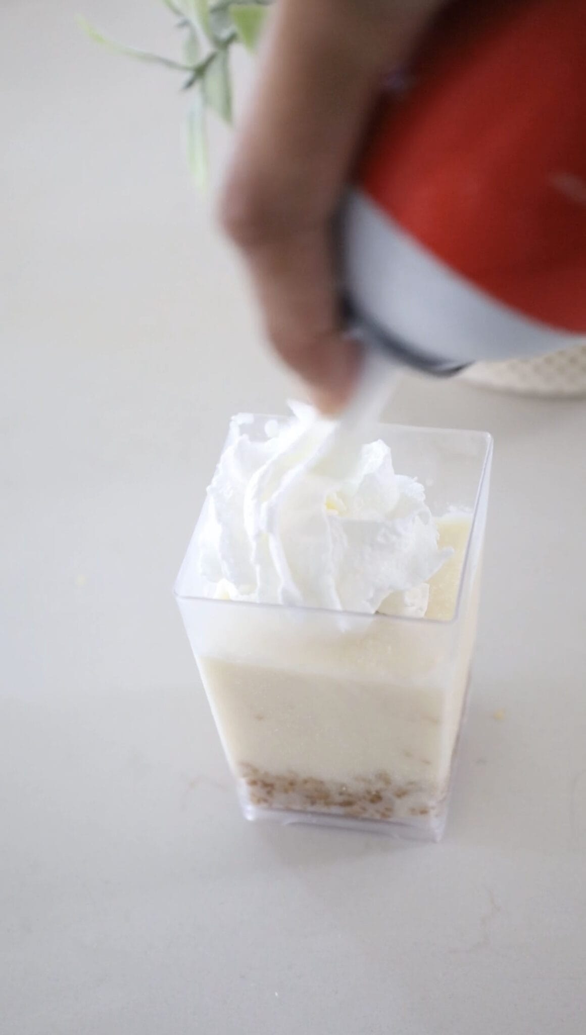 Lychee Dessert Cup Shreya's Kitchen