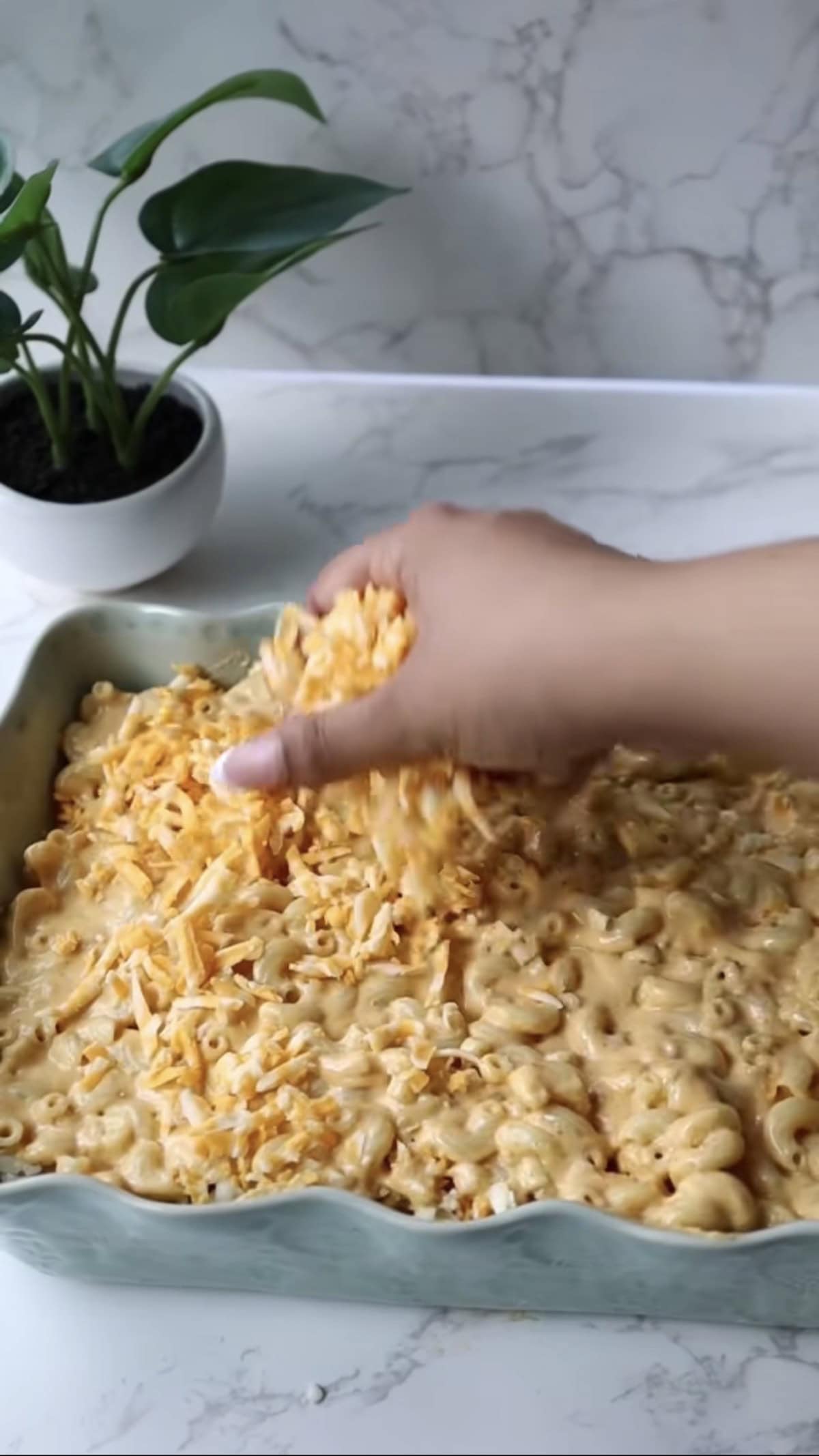 Step five: layer the cheeses.