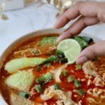 dumpling noodle soup
