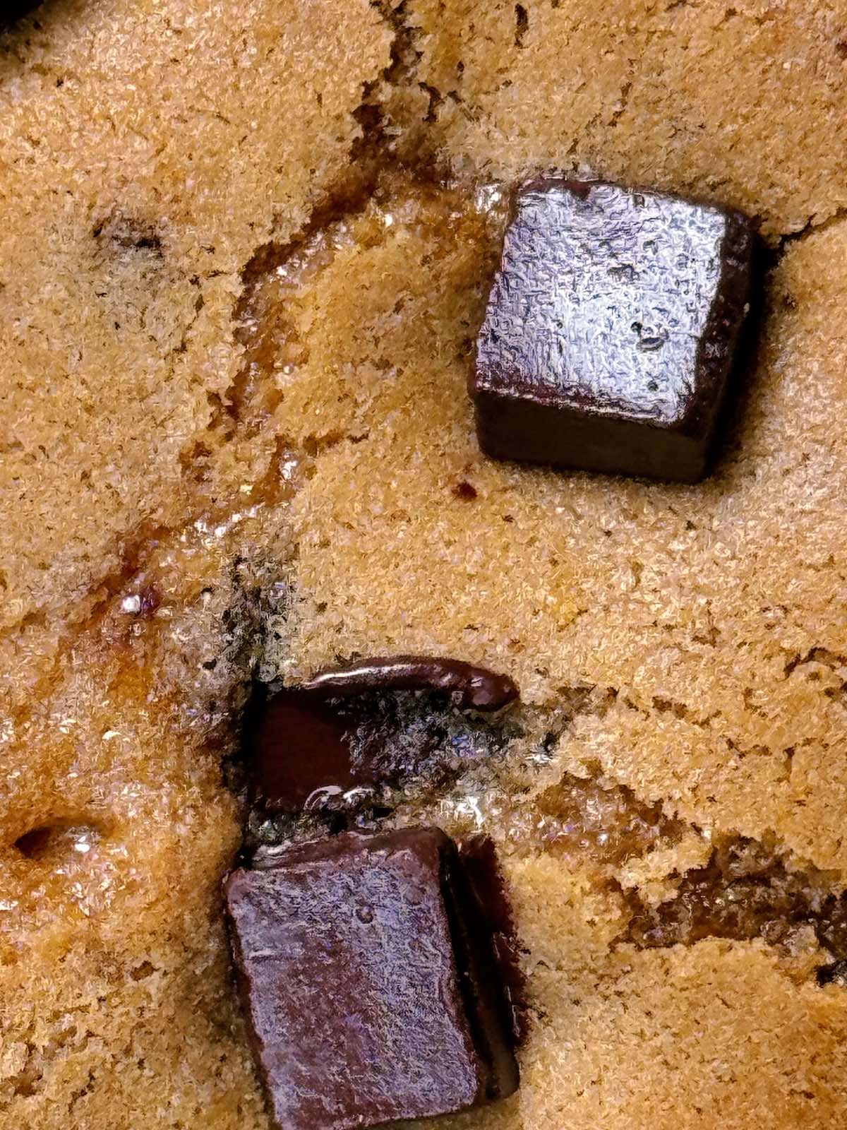 close up of chocolate chip cookie dough