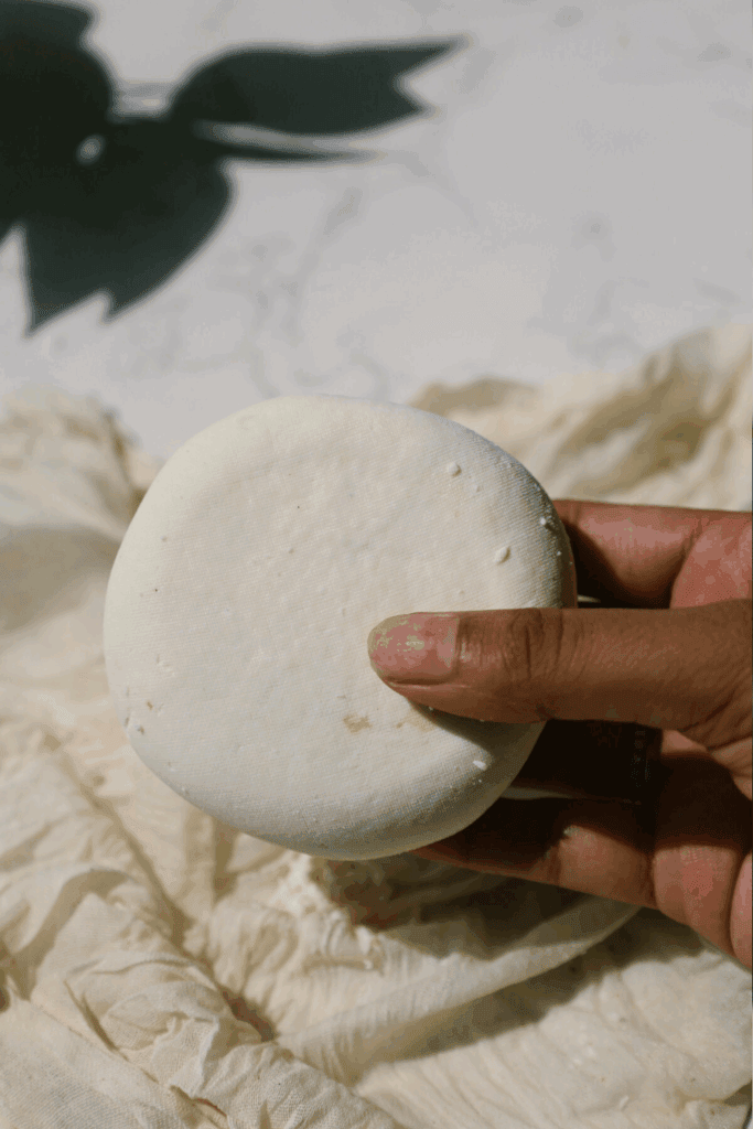 paneer held in hand