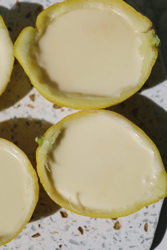 lemon posset close up shot