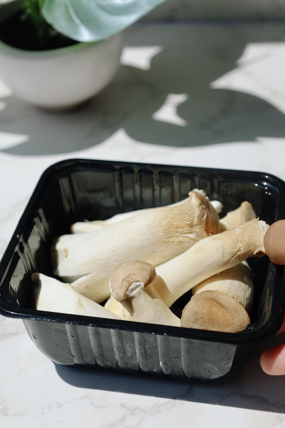 A square package of raw king oyster mushrooms placed on a kitchen countertop.