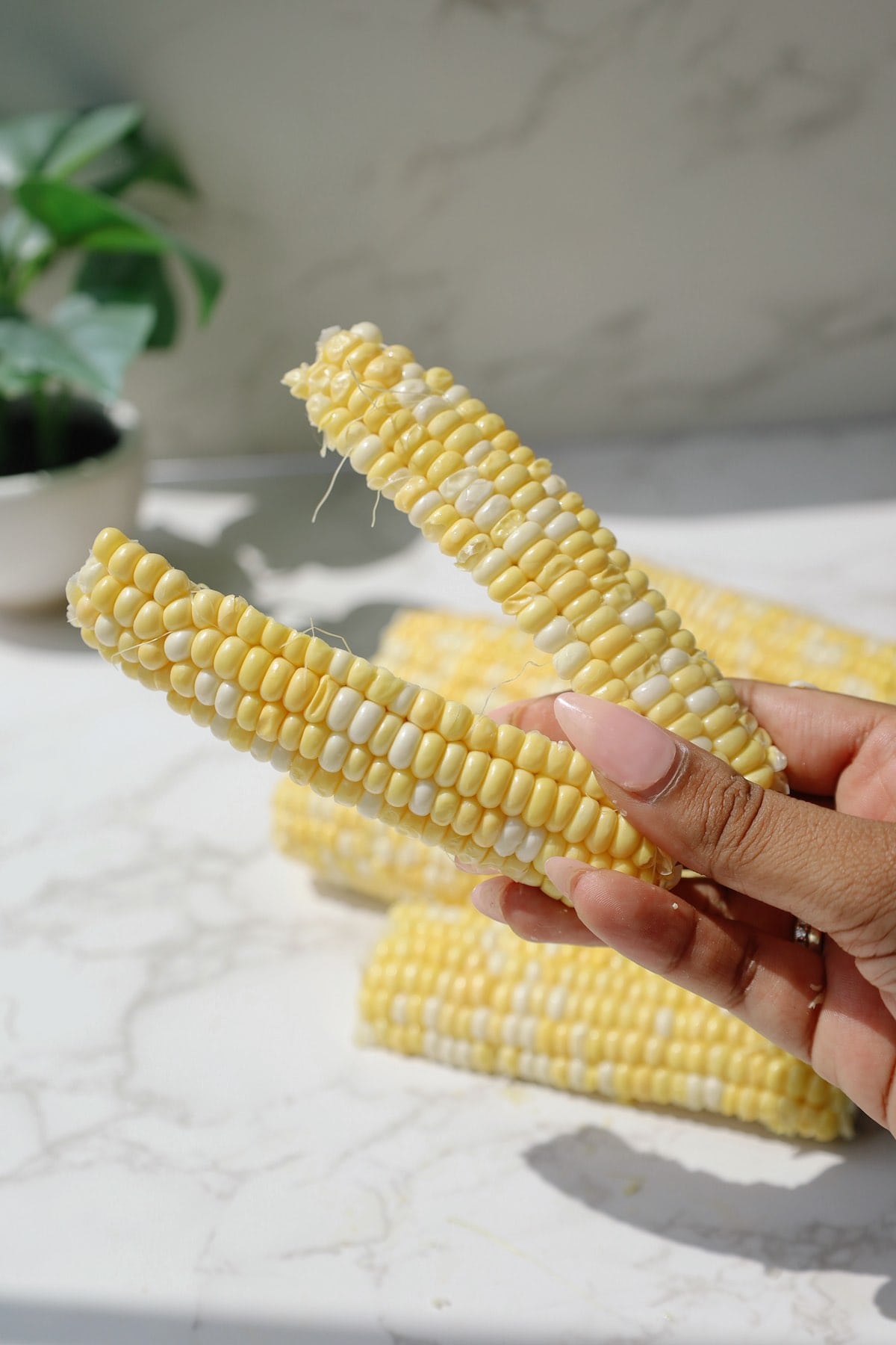 Quartered corn ribs.