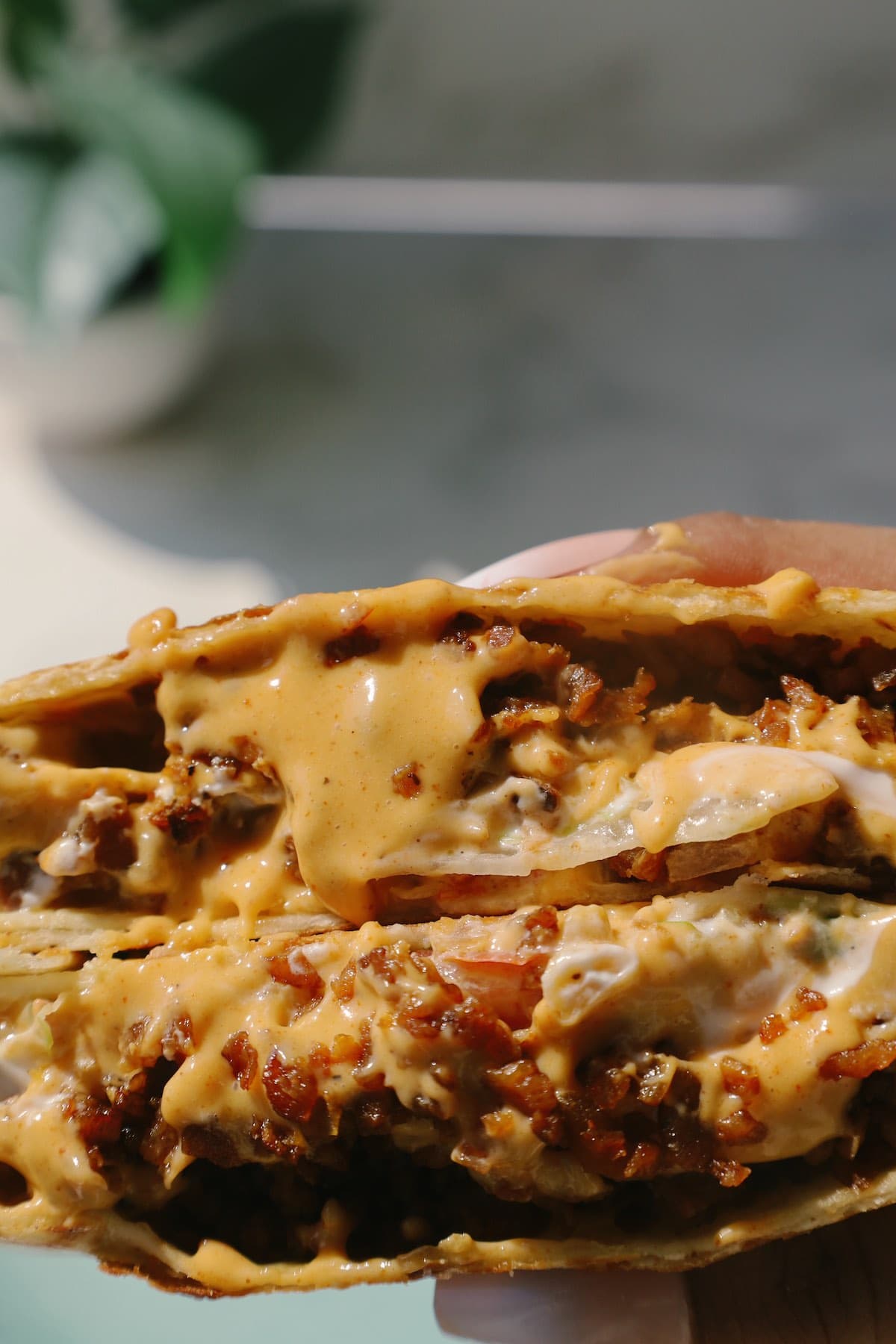 crunchwrap supreme close up with cheese