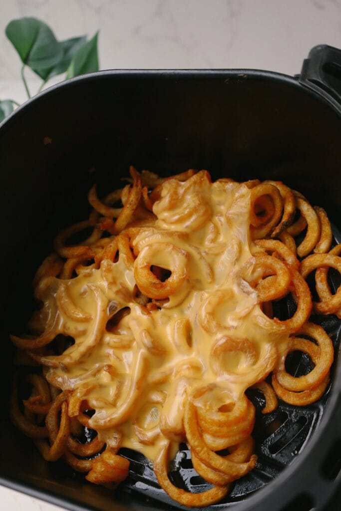 melting cheese on fries