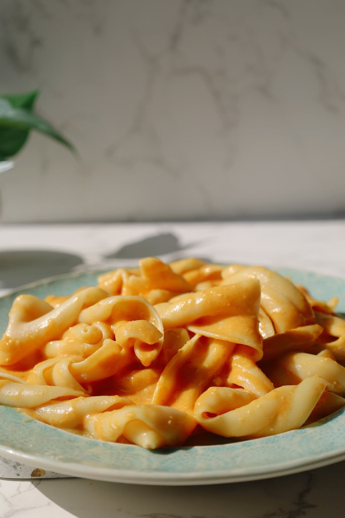 A plate of creamy pumpkin pasta placed on a kitchen countertop.