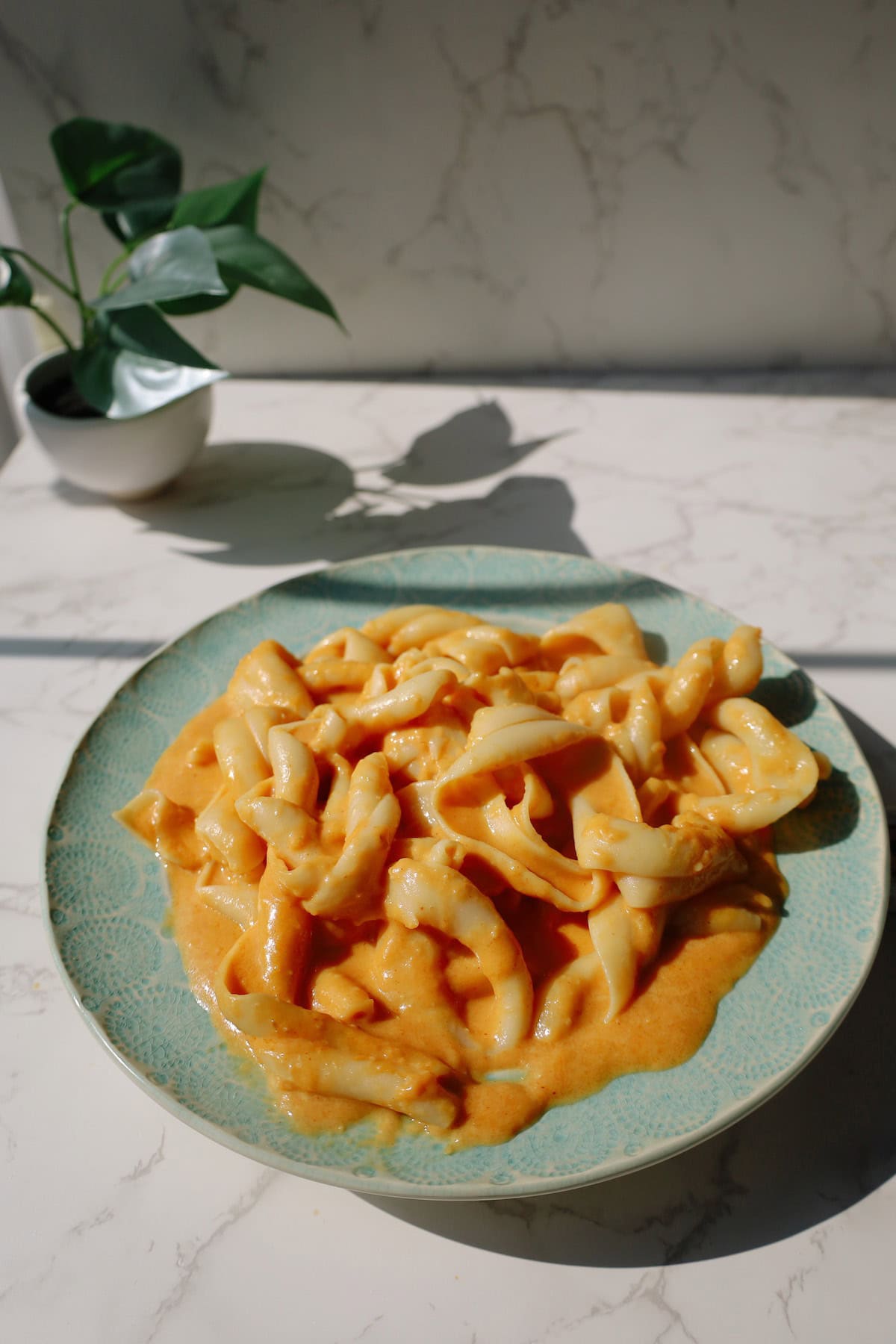 An overhead view of a plate with a serving of creamy pumpkin pasta on a kitchen counter.