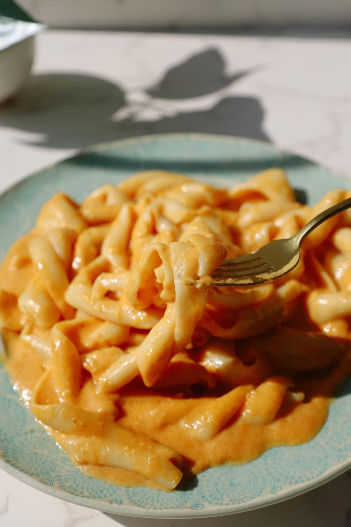 A plate of pasta coated in creamy orange pumpkin cheese sauce.