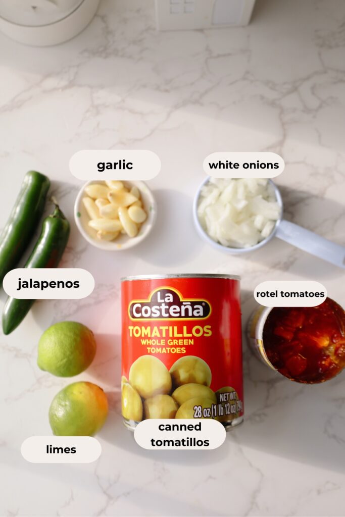 salsa verde recipe ingredients