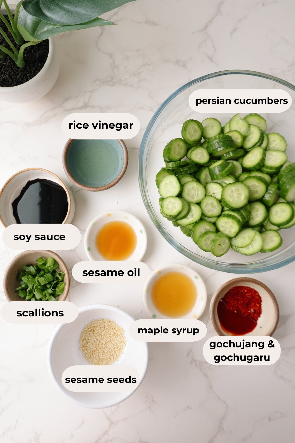 Korean cucumber salad ingredients.