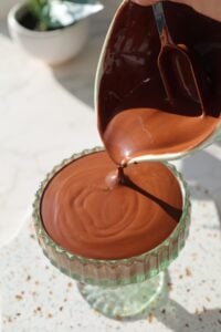 tofu chocolate pudding shell