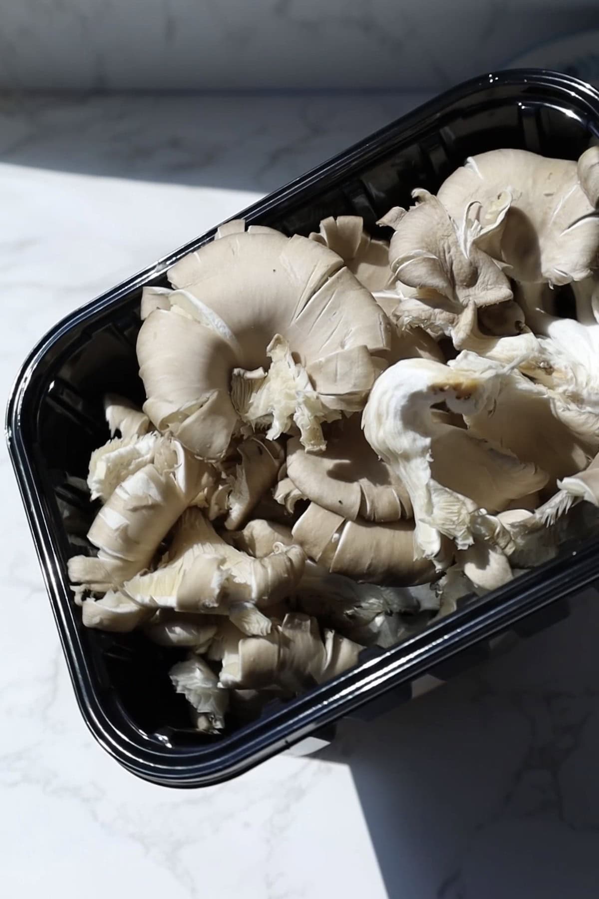 Oyster mushrooms in a package.