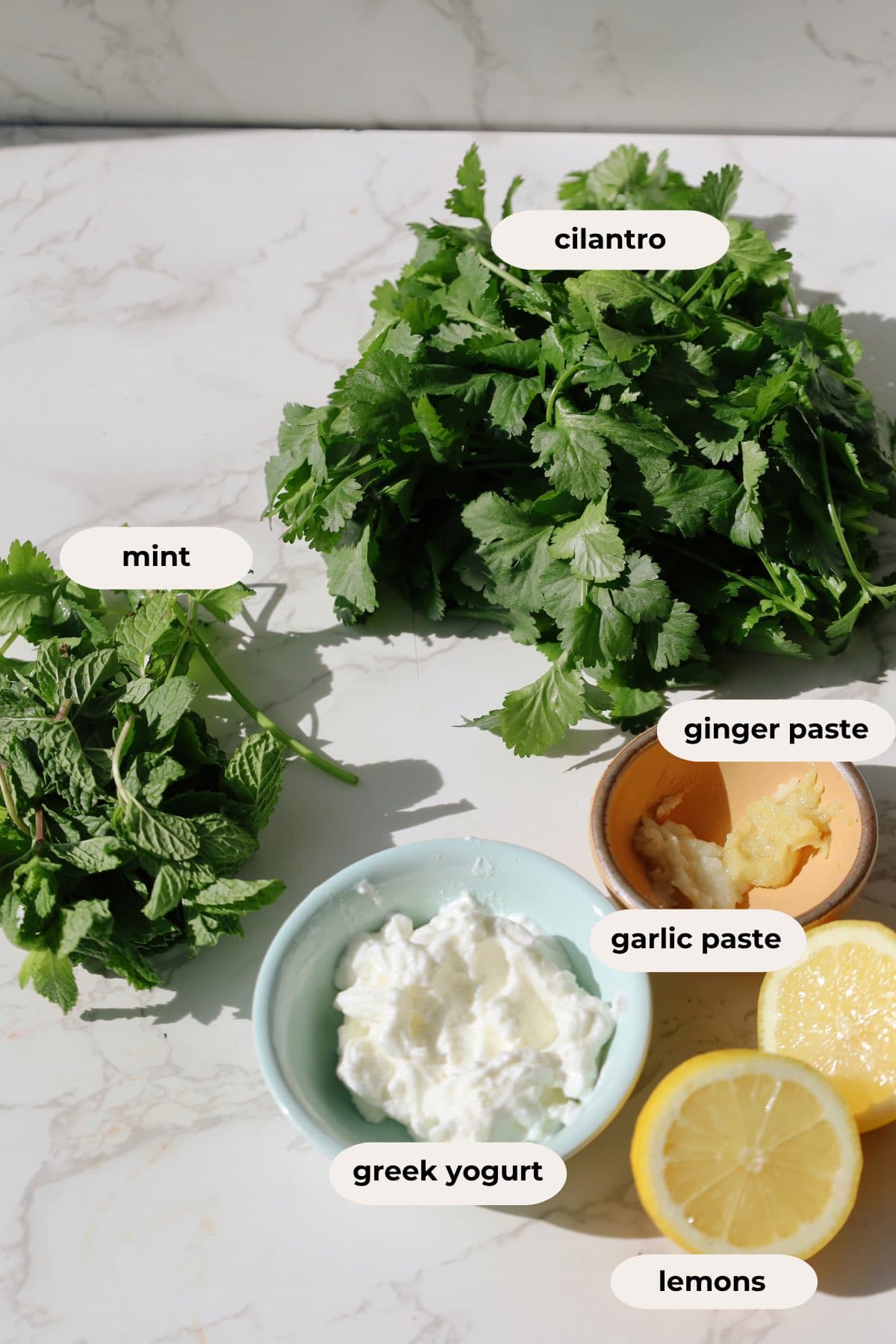 Fresh mint chutney ingredients including cilantro, mint, Greek yogurt, ginger, garlic, and green chilies.